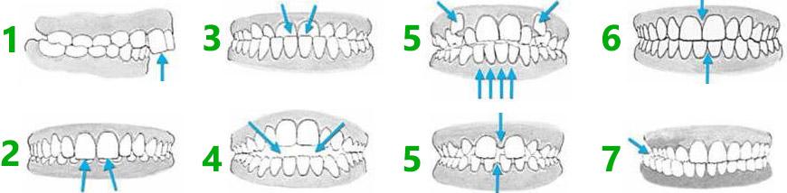category-orthodontics